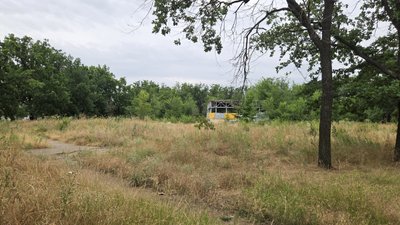 У Миколаєві хочуть збудувати АЗС замість парку: під загрозою вирубки майже 200 дерев У Миколаєві хочуть збудувати АЗС замість парку: під загрозою вирубки майже 200 дерев
