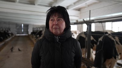 "Дуже низька ціна": чому на Сумщині дешевшає молочна сировина "Дуже низька ціна": чому на Сумщині дешевшає молочна сировина
