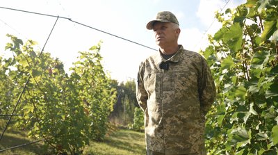 «Вино роблять майже в кожному дворі»: які перспективи виноробства на Черкащині «Вино роблять майже в кожному дворі»: які перспективи виноробства на Черкащині