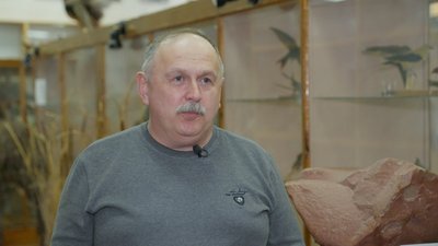 Рідкісні і рідкісноземельні метали: поклади яких копалин є на Житомирщині та де вони розташовані Рідкісні і рідкісноземельні метали: поклади яких копалин є на Житомирщині та де вони розташовані