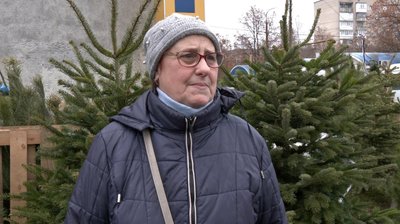 У Луцьку запрацювали ялинкові ярмарки. Скільки коштують хвойні дерева до свят