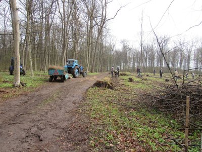 На Тернопільщині впорядкували територію НПП "Дністровський каньйон", довкілля, висадили дерева, 17 квітня 2026 року