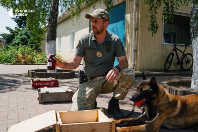 Шукають наркотики та вибухівку: як в Одесі тренують службових собак Шукають наркотики та вибухівку: як в Одесі тренують службових собак