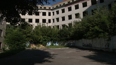 "Поки нікого не загризли, але це питання часу": чому жителі Рівного скаржаться на безпритульних собак "Поки нікого не загризли, але це питання часу": чому жителі Рівного скаржаться на безпритульних собак