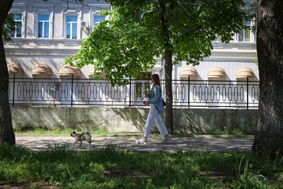 "Не буває неважливого життя". Як у Херсоні рятують з-під обстрілів чотирилапих "Не буває неважливого життя". Як у Херсоні рятують з-під обстрілів чотирилапих