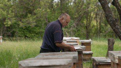 "Меду буде менше": пасічник з Вінниччини розповів як вплинула холодна весна на врожай меду "Меду буде менше": пасічник з Вінниччини розповів як вплинула холодна весна на врожай меду
