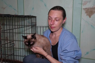 У Херсоні коти, врятовані з палаючого будинку, чекають на господарів із лікарні У Херсоні коти, врятовані з палаючого будинку, чекають на господарів із лікарні