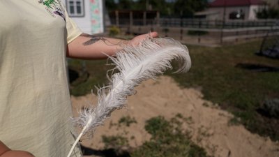"Це птиця, з якої продається все": на Чернігівщині створили екоферму зі страусами "Це птиця, з якої продається все": на Чернігівщині створили екоферму зі страусами