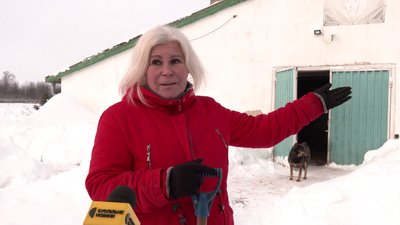 Через замети призупинили роботу кінноспортивного клубу у Великій Омеляній на Рівненщині Через замети призупинили роботу кінноспортивного клубу у Великій Омеляній на Рівненщині