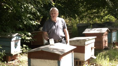 Неврожай меду: пасічник розповів, як вплинула погода на пасіки Рівненщини Неврожай меду: пасічник розповів, як вплинула погода на пасіки Рівненщини