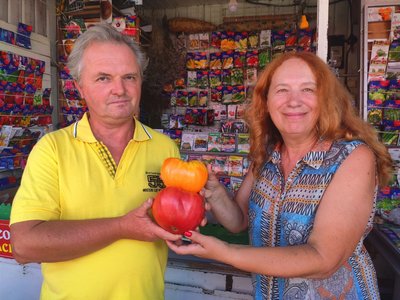 Сорти, насіння, вирощування помідорів Сорти, насіння, вирощування помідорів