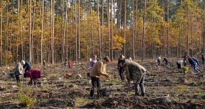 На Житомирщині висаджують "Ліси Героїв" в пам'ять про полеглих захисників України На Житомирщині висаджують "Ліси Героїв" в пам'ять про полеглих захисників України