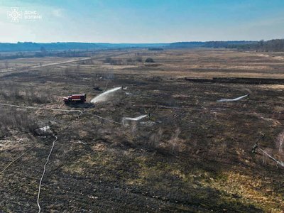 На Волині горів торф'яник: вогонь знищив На Волині горів торф'яник: вогонь знищив
