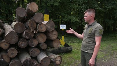 Зростає попит на дрова на Рівенщині: що обирають люди і скільки коштує тепло Зростає попит на дрова на Рівенщині: що обирають люди і скільки коштує тепло