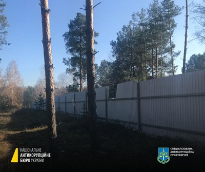 НАБУ викрило схему заволодіння 2,24 га лісу на березі Київського моря НАБУ викрило схему заволодіння 2,24 га лісу на березі Київського моря