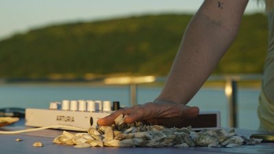 «Кожен з музикантів знайшов тут свій звук і тепер ним можна поділитися»: на Бакоті відбулась музична резиденція «Кожен з музикантів знайшов тут свій звук і тепер ним можна поділитися»: на Бакоті відбулась музична резиденція