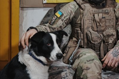 Військовий із Канади "Рись" з собакою Військовий із Канади "Рись" з собакою