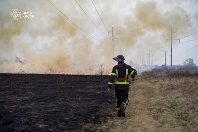 В одному з районів загорілася трава та кущі: росіяни запустили по Києву безпілотники В одному з районів загорілася трава та кущі: росіяни запустили по Києву безпілотники