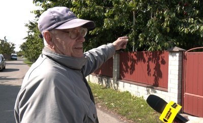 Як вирощують черешню на Волині і скільки коштує фрукт