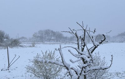 Україну накрили аномальні опади: прогноз погоди на 25 квітня