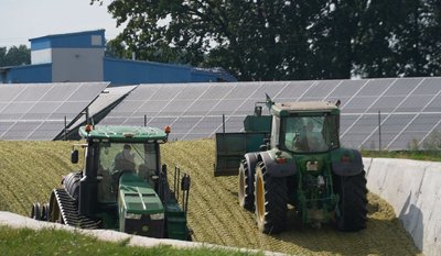 "Не можна спрогнозувати врожайність": які нішеві культури обирають черкаські фермери "Не можна спрогнозувати врожайність": які нішеві культури обирають черкаські фермери