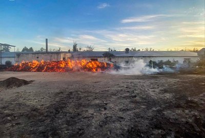 На Черкащині на одному із підприємств горіли дрова На Черкащині на одному із підприємств горіли дрова