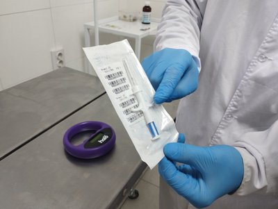 Шприц для чипізації тварин Шприц для чипізації тварин