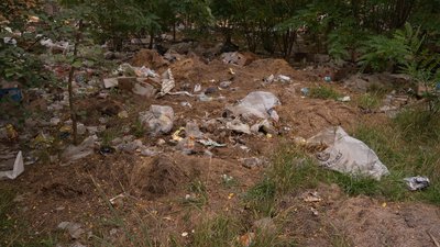 Сміття, гризуни та сморід: жителі Вишневого на Дніпропетровщині скаржаться на звалище поблизу притулку для тварин