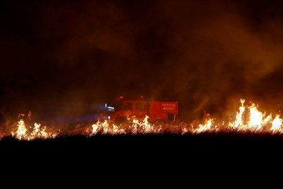Греція, Салоніки, лісова пожежа Греція, Салоніки, лісова пожежа