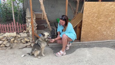 Яна Лущик і собака Маша Яна Лущик і собака Маша