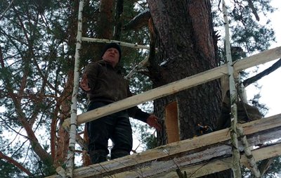 У дровах для школи знайшли борть із трьома кілограмами меду диких бджіл: історія з Олевська У дровах для школи знайшли борть із трьома кілограмами меду диких бджіл: історія з Олевська