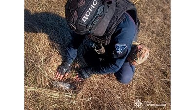 14 вибухонебезпечних предметів знайшли та знищили сапери ДСНС на Чернігівщині протягом вихідних