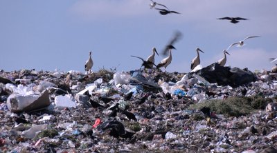 90 тисяч тонн сміття щороку: як працює полігон у Брищі поблизу Луцька 90 тисяч тонн сміття щороку: як працює полігон у Брищі поблизу Луцька