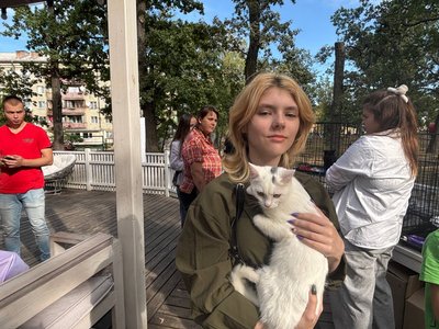 У Малині на Житомирщині провели День кошенят для безпритульних тварин У Малині на Житомирщині провели День кошенят для безпритульних тварин