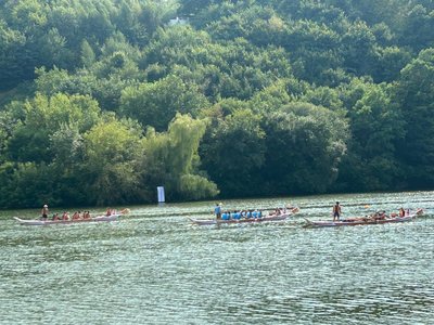 У Житомирі стартував чемпіонат України з веслування на човнах «Дракон» У Житомирі стартував чемпіонат України з веслування на човнах «Дракон»