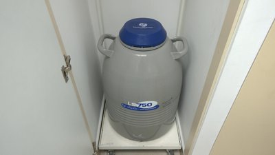 У разі поранення чи смерті мають шанс стати батьками: де та як у Рівному зберігають сперму та яйцеклітини військових У разі поранення чи смерті мають шанс стати батьками: де та як у Рівному зберігають сперму та яйцеклітини військових