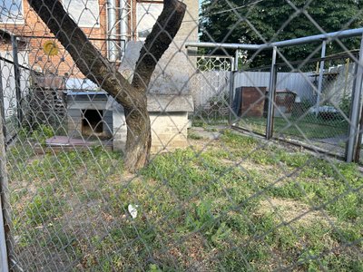У Полтаві місцеві підозрюють чоловіка у вчиненні злочину проти собаки У Полтаві місцеві підозрюють чоловіка у вчиненні злочину проти собаки