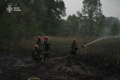 Горів очерет: рятувальники гасили вогонь у Солом'янському районі Києва Горів очерет: рятувальники гасили вогонь у Солом'янському районі Києва