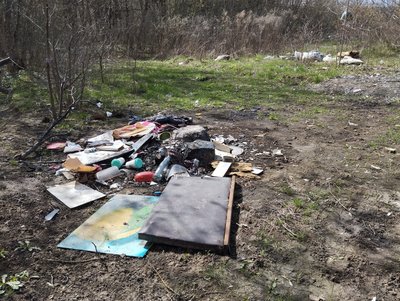 Засмічені береги Пушкарівських ставків у Полтаві: чи будуть наводити лад Засмічені береги Пушкарівських ставків у Полтаві: чи будуть наводити лад
