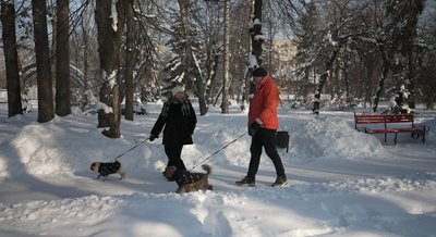 Людмила та Даріуш Семпйол, вигул собак Людмила та Даріуш Семпйол, вигул собак