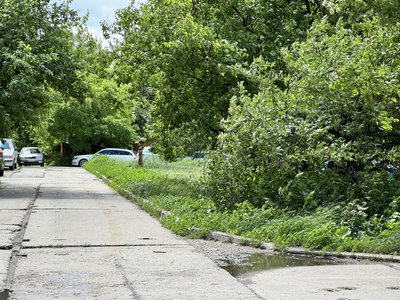 Покіс трави у Полтаві: як працюватимуть до кінця сезону Покіс трави у Полтаві: як працюватимуть до кінця сезону