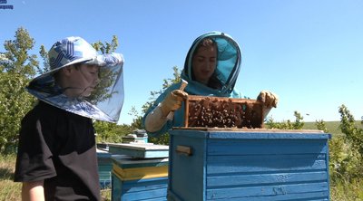купити вулик, все для бджільництва купити вулик, все для бджільництва