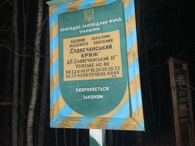 екологія, довкілля, порубка, кримінал, поліція, Житомирщина екологія, довкілля, порубка, кримінал, поліція, Житомирщина