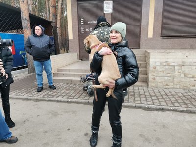 На Полтавщині розпочали планово щеплювати від сказу домашніх тварин На Полтавщині розпочали планово щеплювати від сказу домашніх тварин