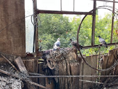 У квартирі полтавської багатоповерхівки розповсюдився сморід від сміття та трупний запах У квартирі полтавської багатоповерхівки розповсюдився сморід від сміття та трупний запах