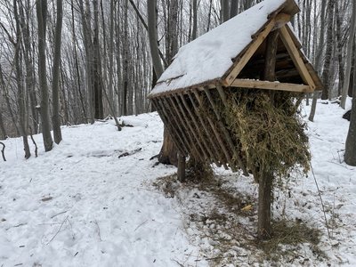 Лісівники області наповнили годівнички для диких тварин, січень 2025 року, Хмельниччина