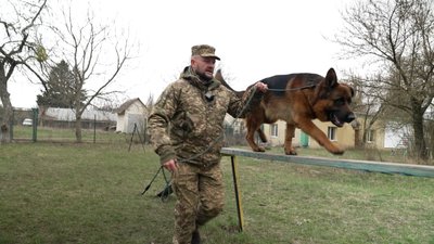 Тварини у новинах: яким був 2025 рік для чотирилапих на Житомирщині Тварини у новинах: яким був 2025 рік для чотирилапих на Житомирщині