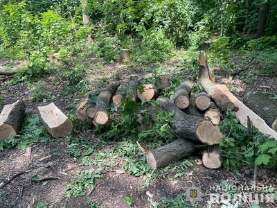 Атака по інфраструктурі Кривого Рогу, обстріли Нікопольщини. Головні новини Дніпра та області 21 червня