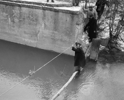 27 листопада 1956: угорське повстання 27 листопада 1956: угорське повстання