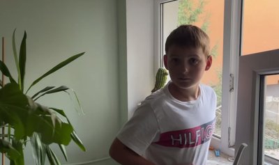 "Я спочатку плакав, але в школу піду": реакція мешканців на ранковий обстріл Львова "Я спочатку плакав, але в школу піду": реакція мешканців на ранковий обстріл Львова